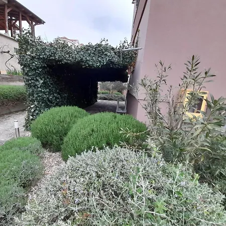 Apartman Diklo Dujmovic1 *